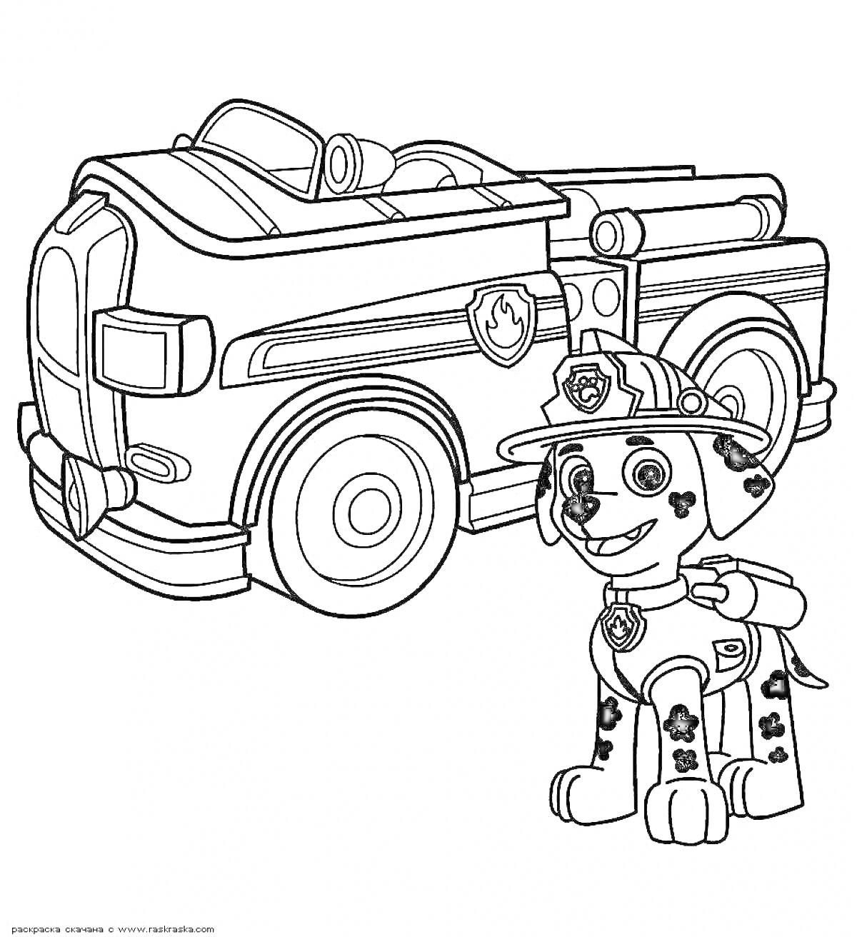 На раскраске изображено: Щенячий патруль, Далматинец, Пожарная машина, Каска