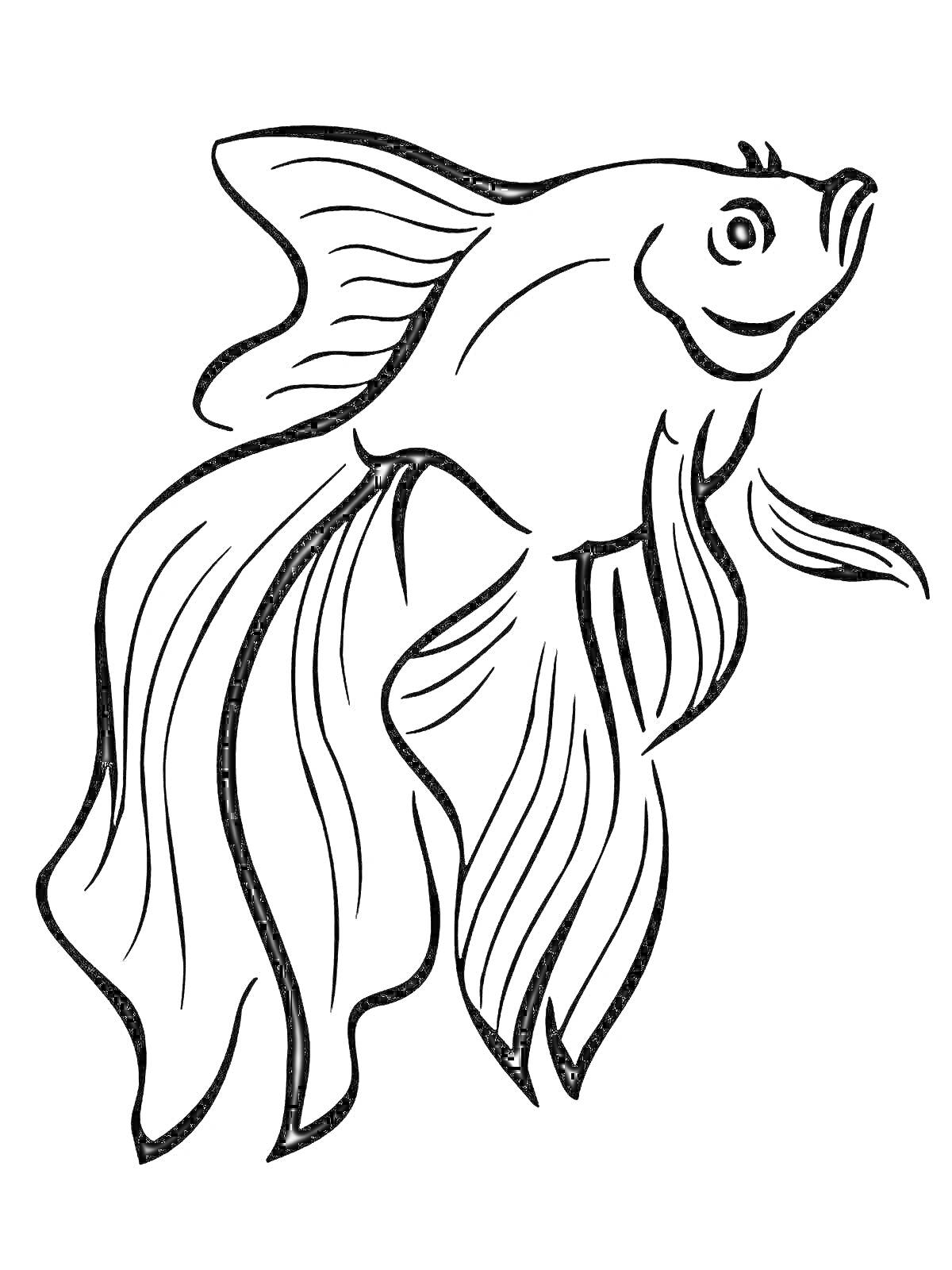 На раскраске изображено: Золотая рыбка, Плавники, Хвост, Рыба