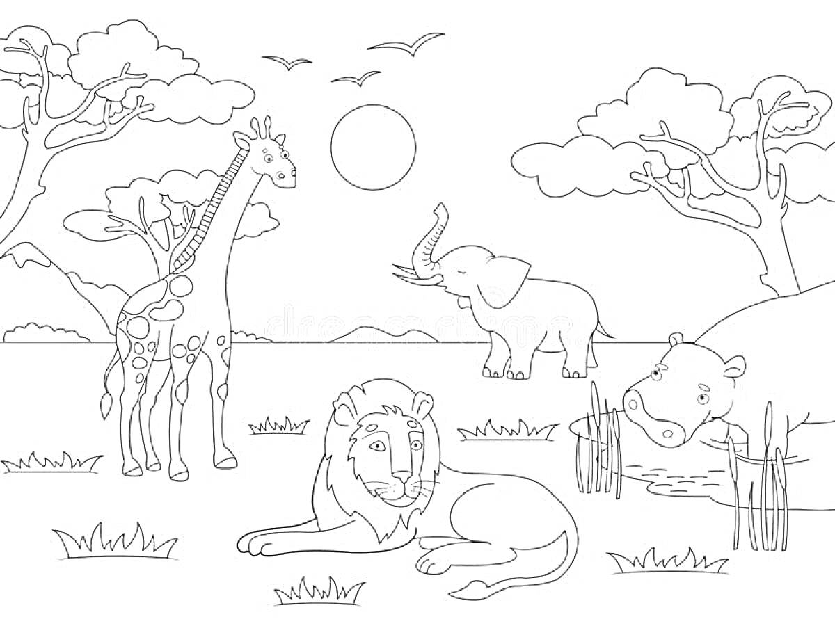 На раскраске изображено: Саванна, Слон, Лев, Бегемот, Деревья, Горы, Солнце, Природа, Дикие животные
