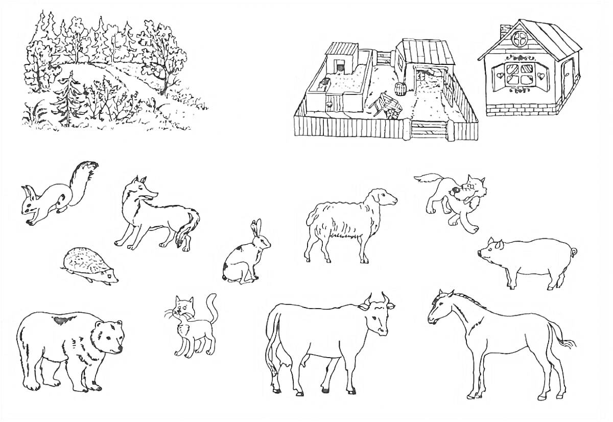 Раскраска дикие животные в лесу, ферма, крольчонок, белка, лисица, ёж, медведь, лошадь, корова, коза, котенок, собака, овца