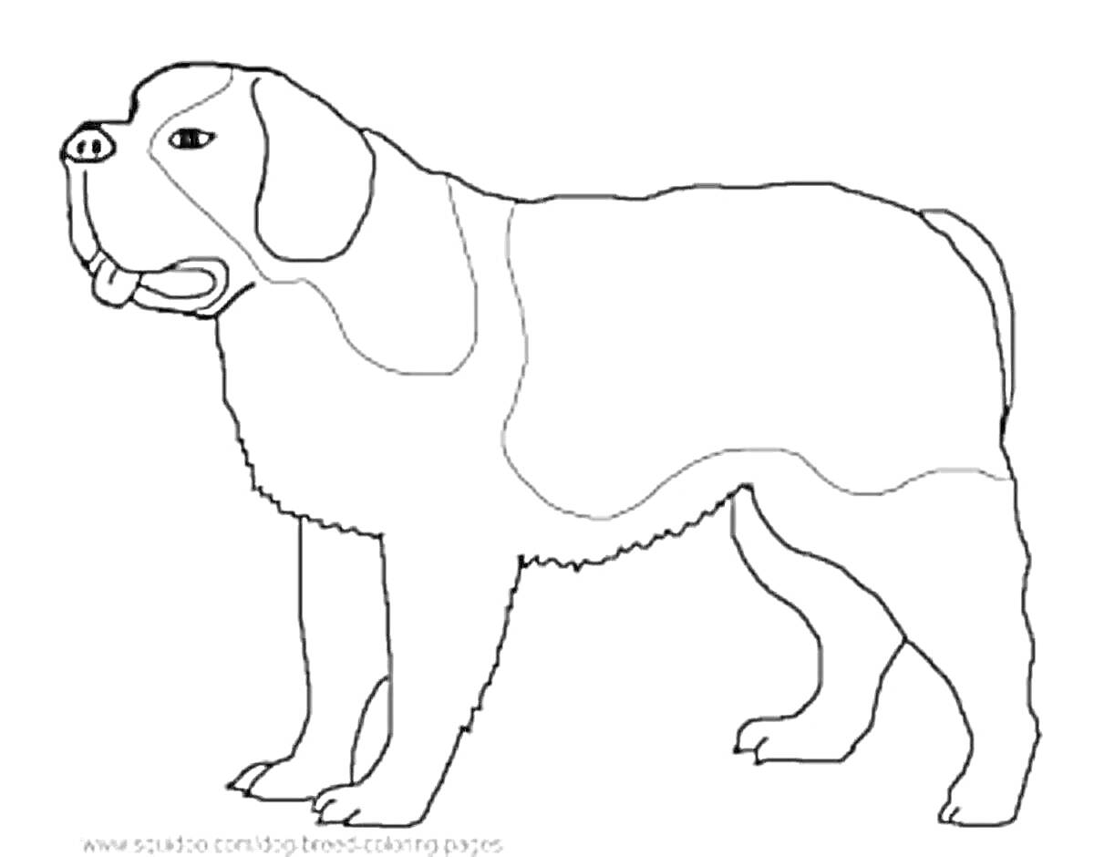 На раскраске изображено: Собака, Питомец, Домашние животные, Контурные рисунки