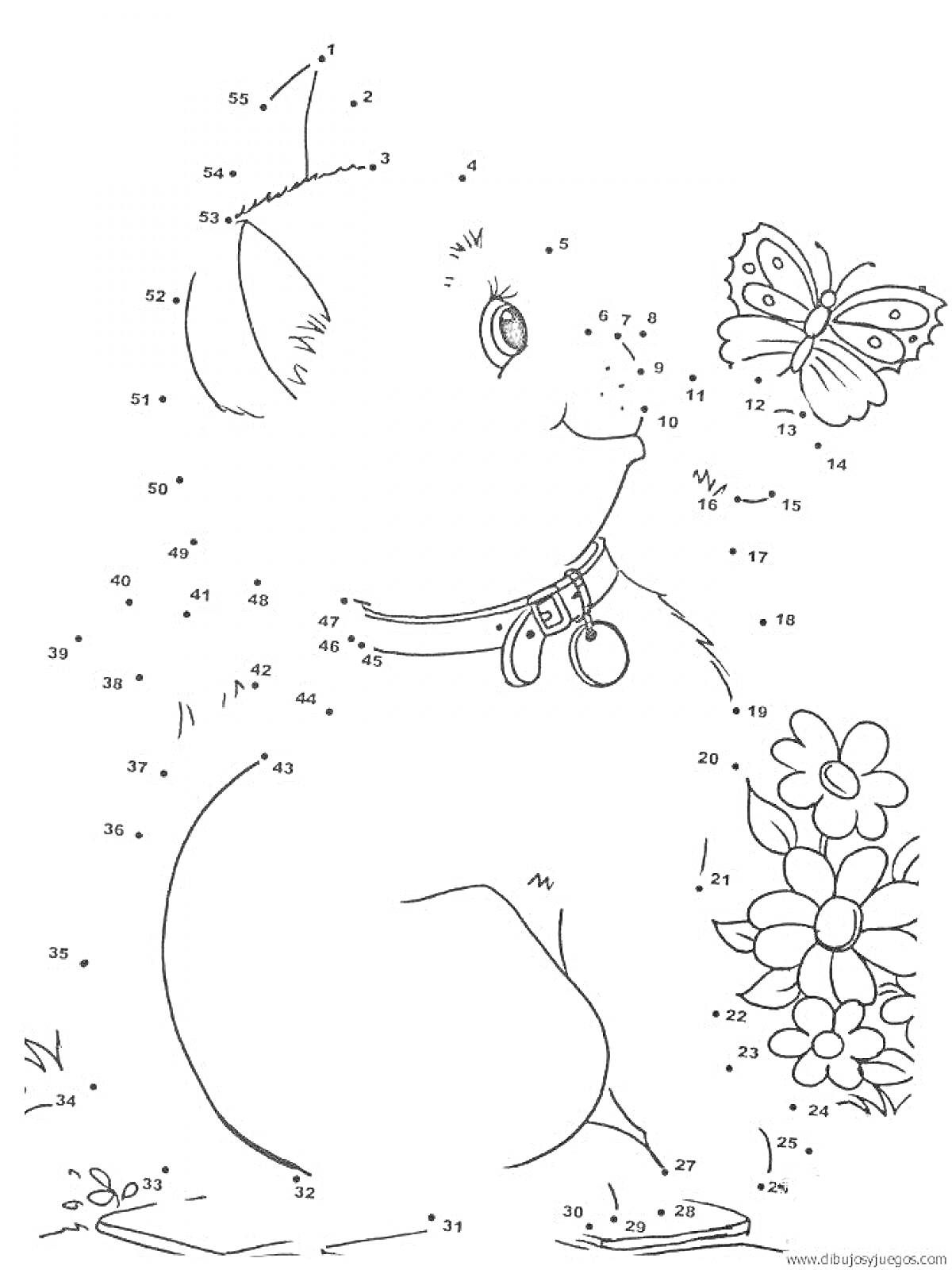 На раскраске изображено: Бабочка, Цветы, Точки, 7 лет, 8 лет