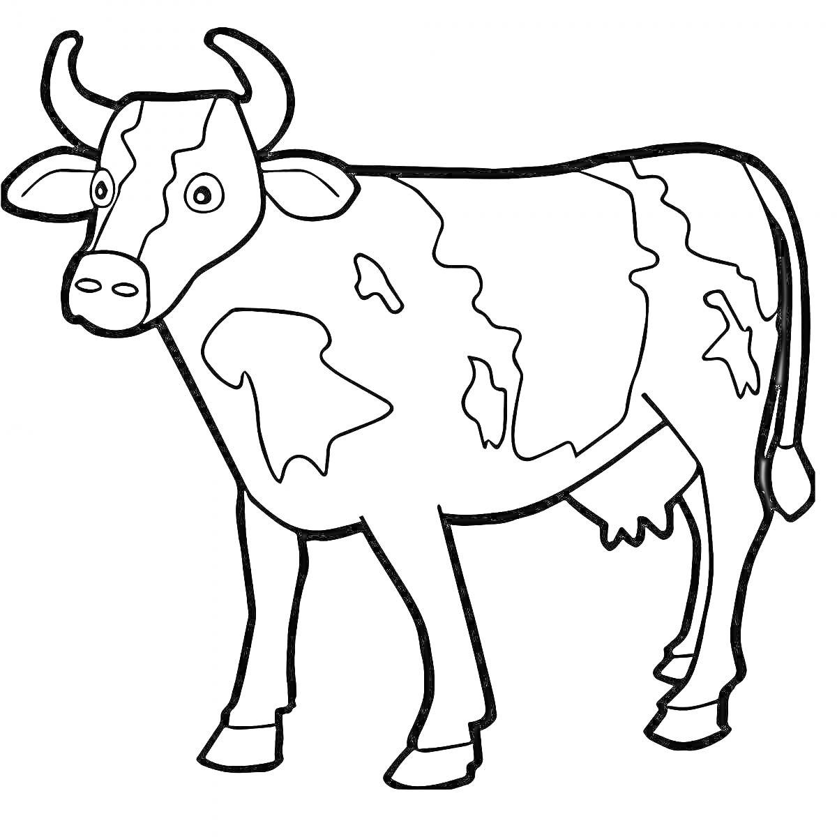 Раскраска корова с рогами, пятна на теле