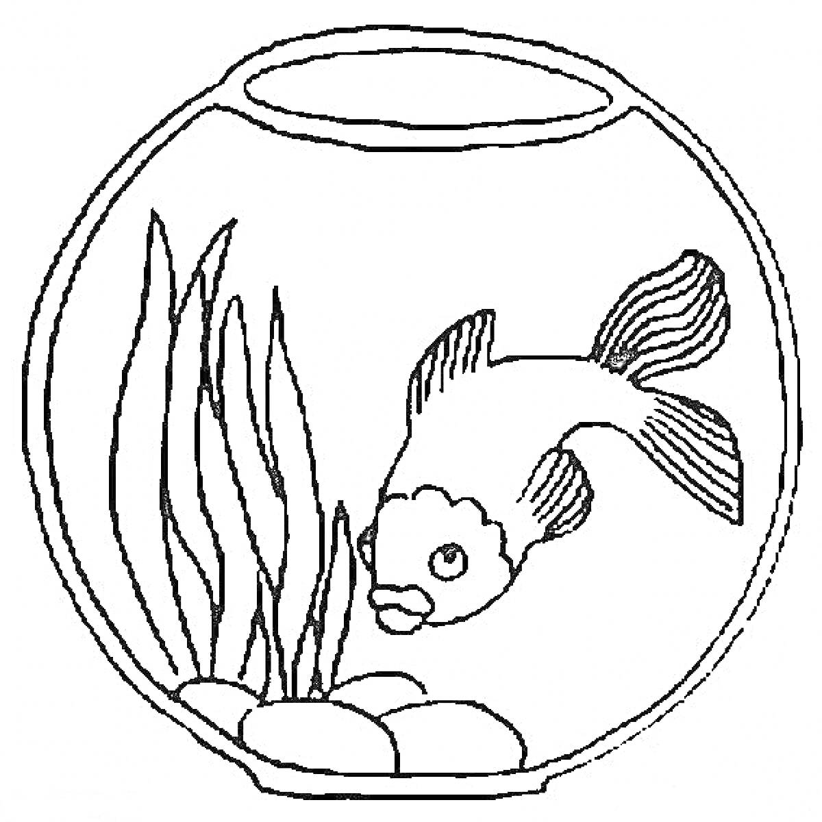 Раскраска Рыбка в аквариуме с растениями и камнями