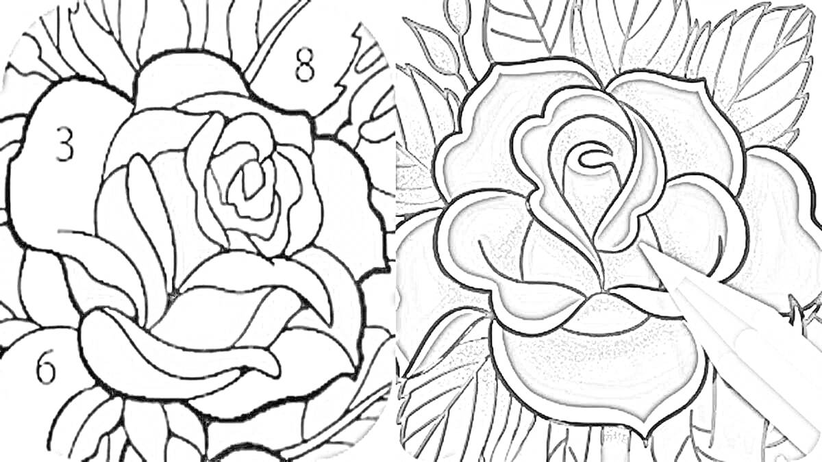 На раскраске изображено: Розы, Цветы, Игра, Лепестки, Листья, Яркие цвета