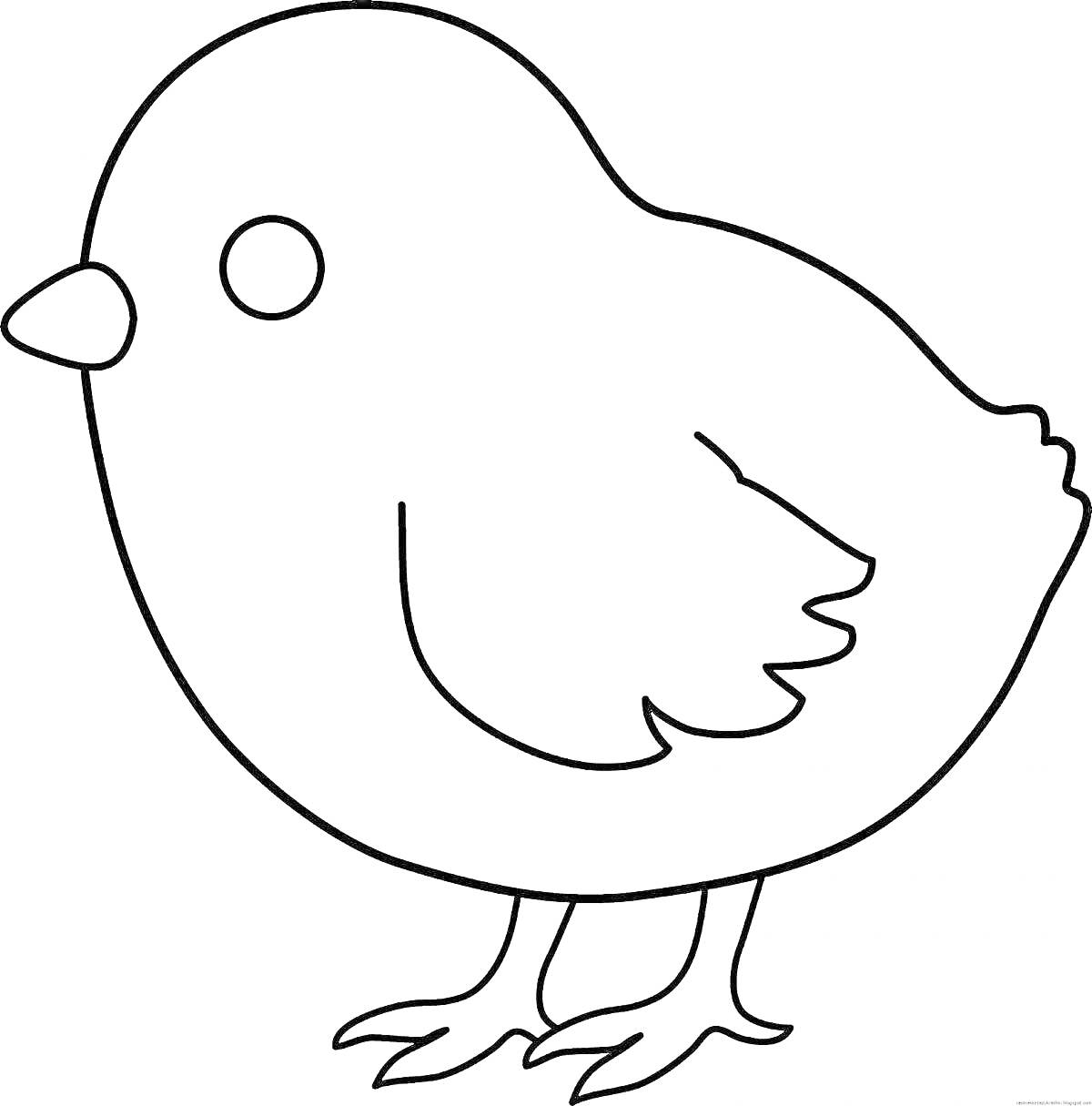 Раскраска Цыпленок в профиль на белом фоне для раскраски