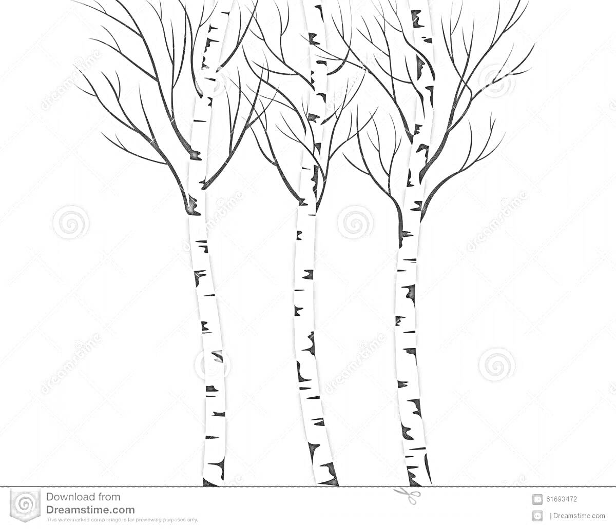 Раскраска Три зимние березы с голыми ветвями на сером фоне