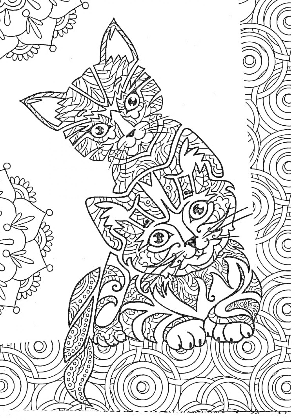 Раскраска антистресс раскраска с двумя котенками, окруженными узорами и орнаментами