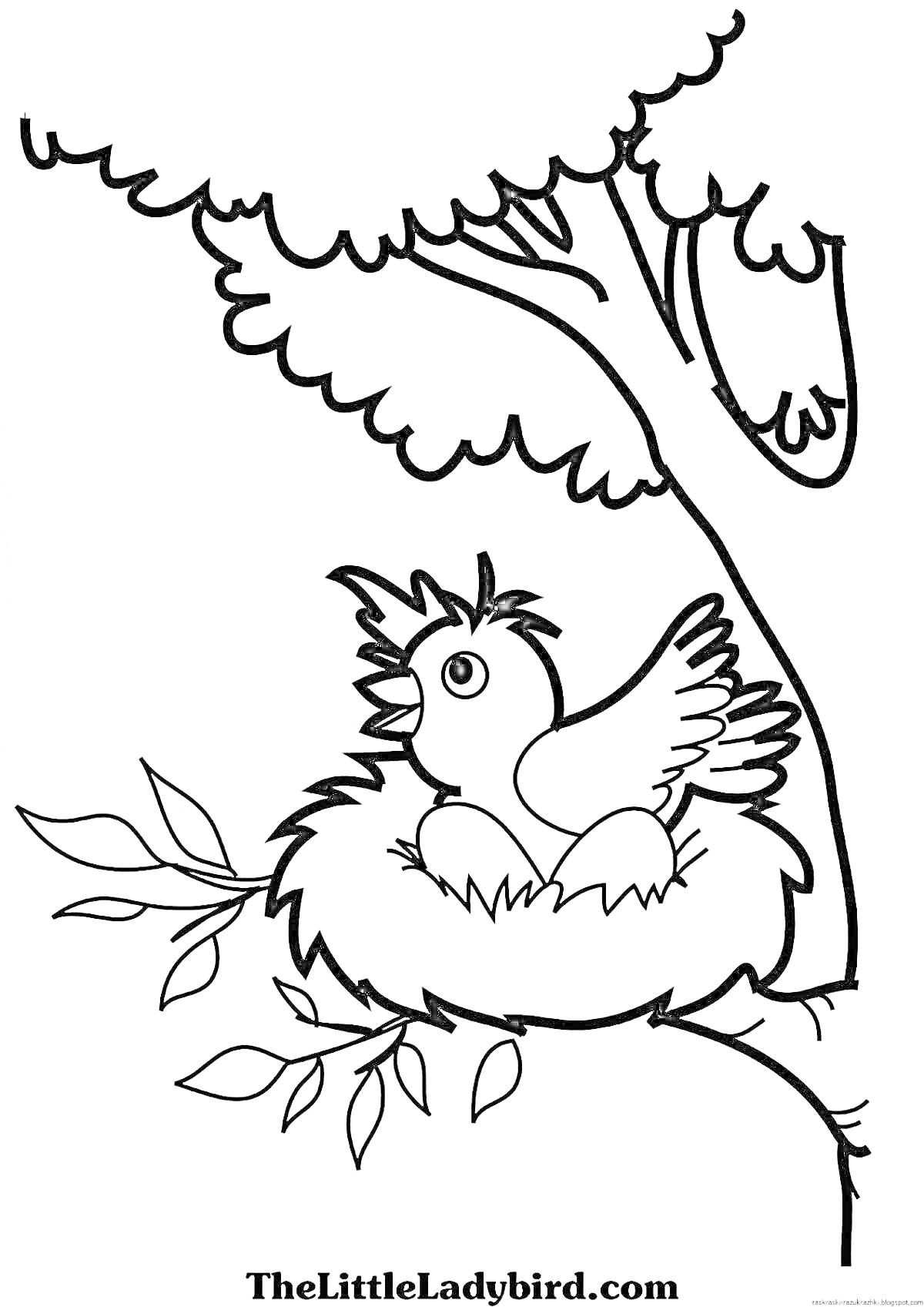 На раскраске изображено: Птичка, Гнездо, Детёныш, Яйца, Природа, Для детей, Деревья
