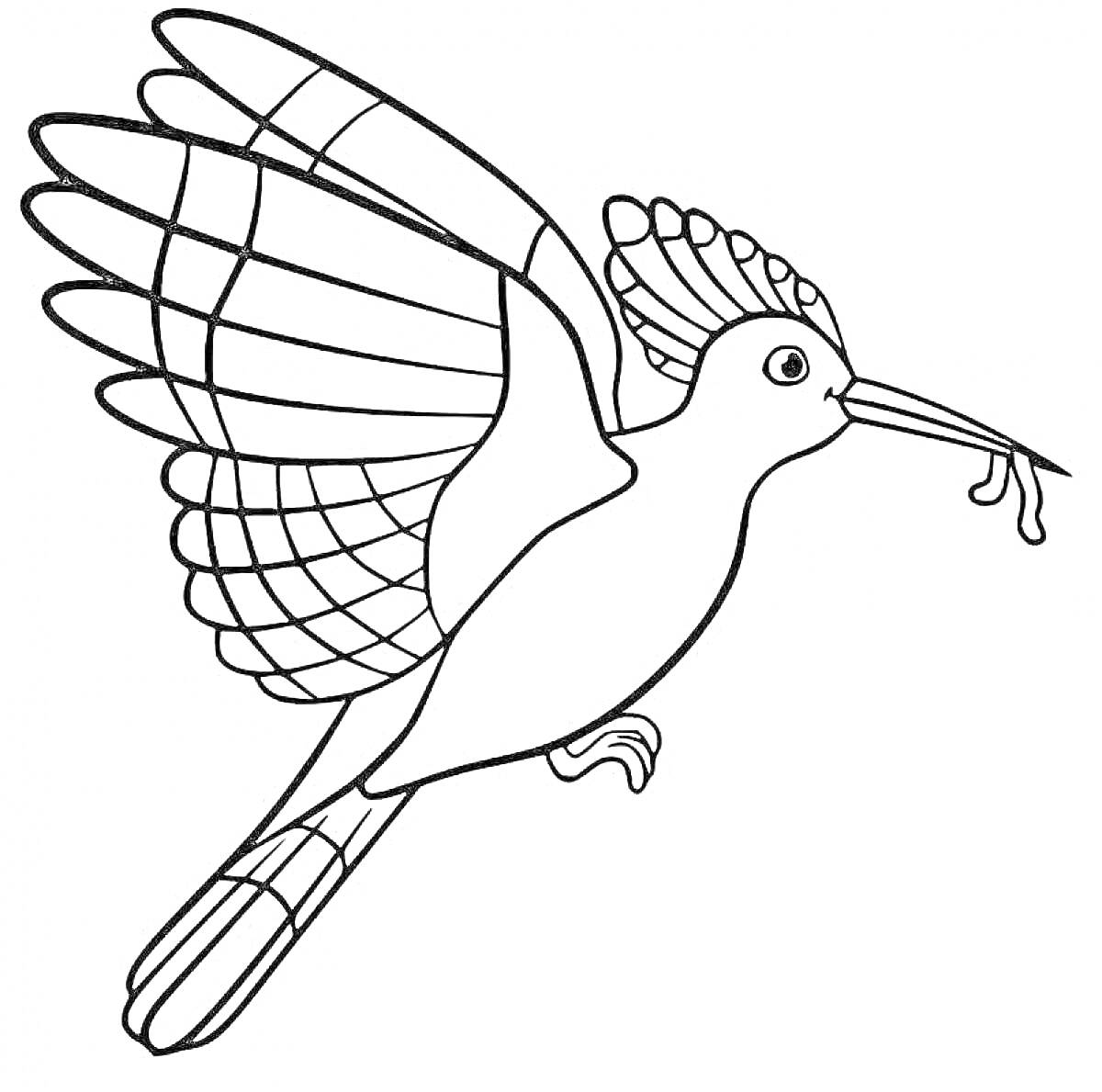 На раскраске изображено: Птица, Полет, Насекомое, Клюв, Крылья, Перья