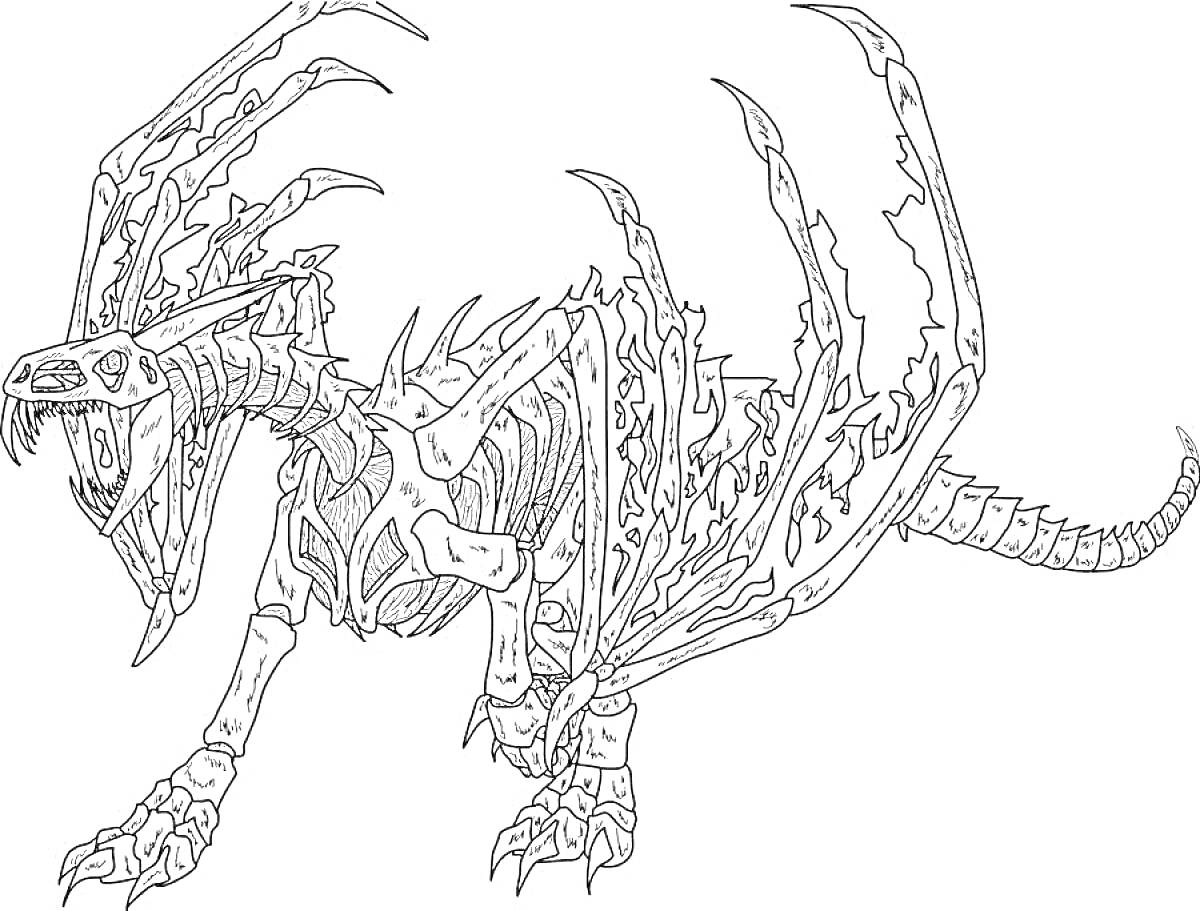 На раскраске изображено: Кости, Шипы, Крылья, Лапы, Хвост, Фантазия