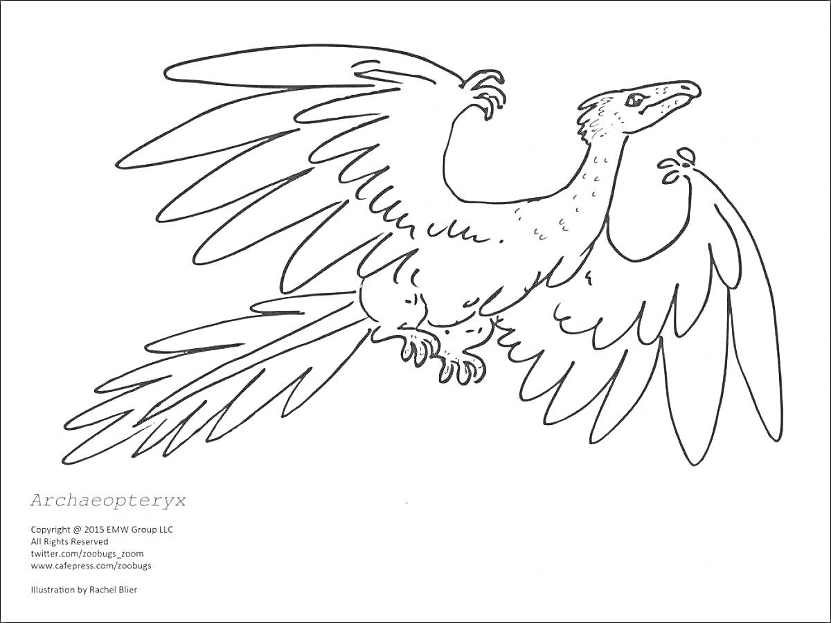 На раскраске изображено: Археоптерикс, Динозавр, Птица, Крылья, Перья, Доисторические животные