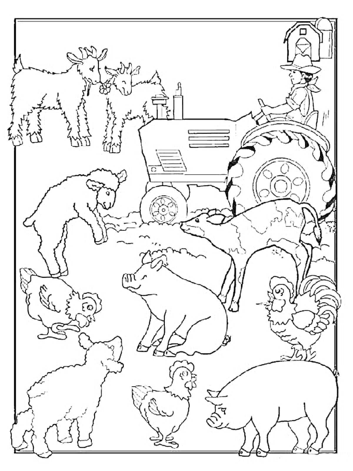 На раскраске изображено: Домашние животные, Ферма, Трактор, Петух, Свиньи, Теленок, Фермер, Курицы, Овечки