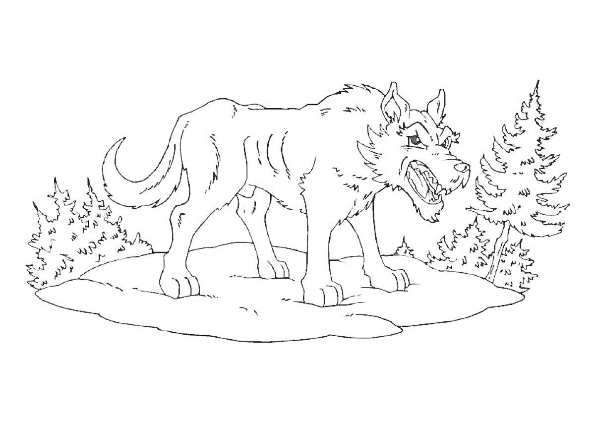 На раскраске изображено: Волк, Лес, Деревья, Кусты, Для детей, Животные, Поляна
