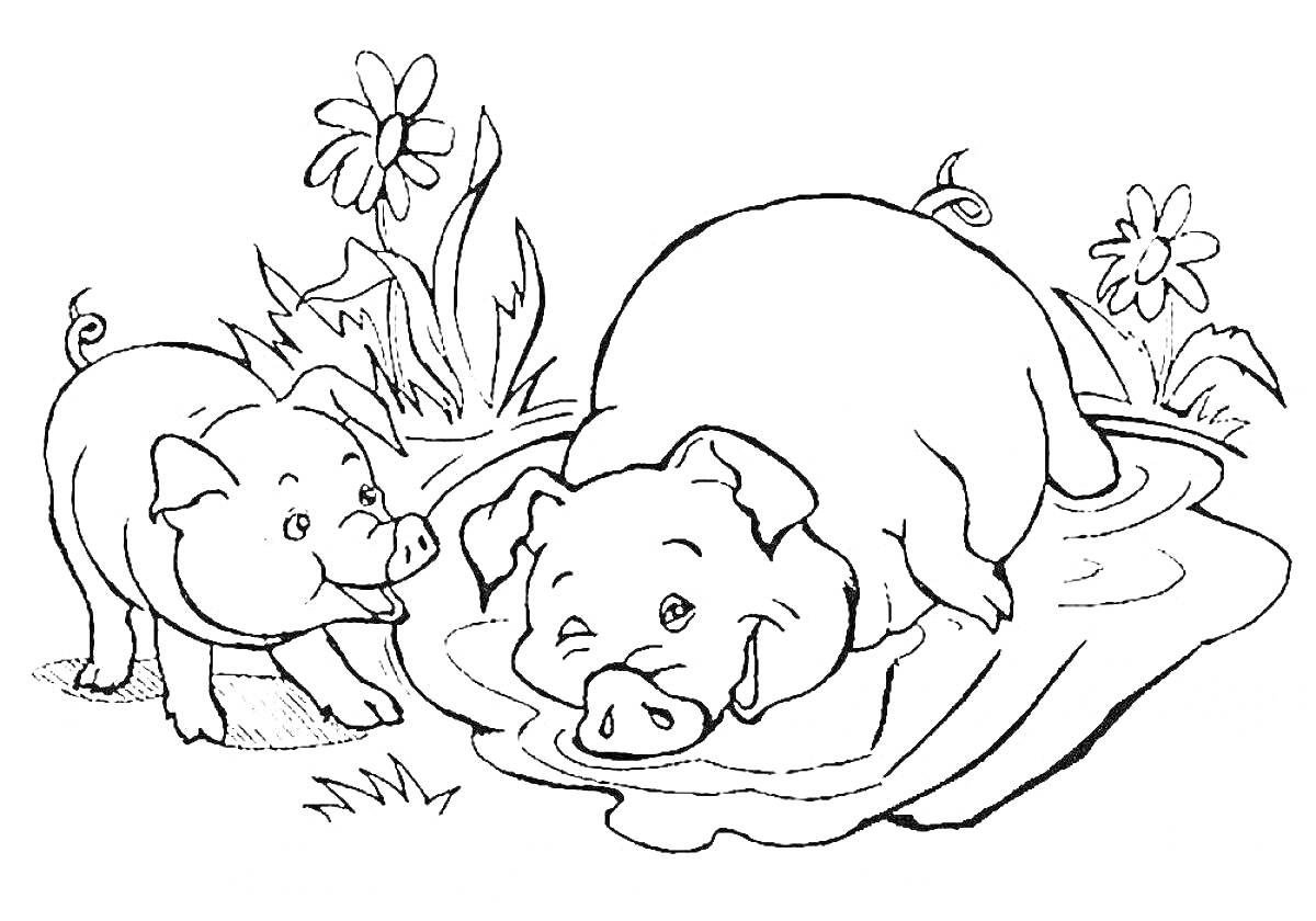 На раскраске изображено: Свиньи, Лужа, Цветы, Трава, Луг, Животные