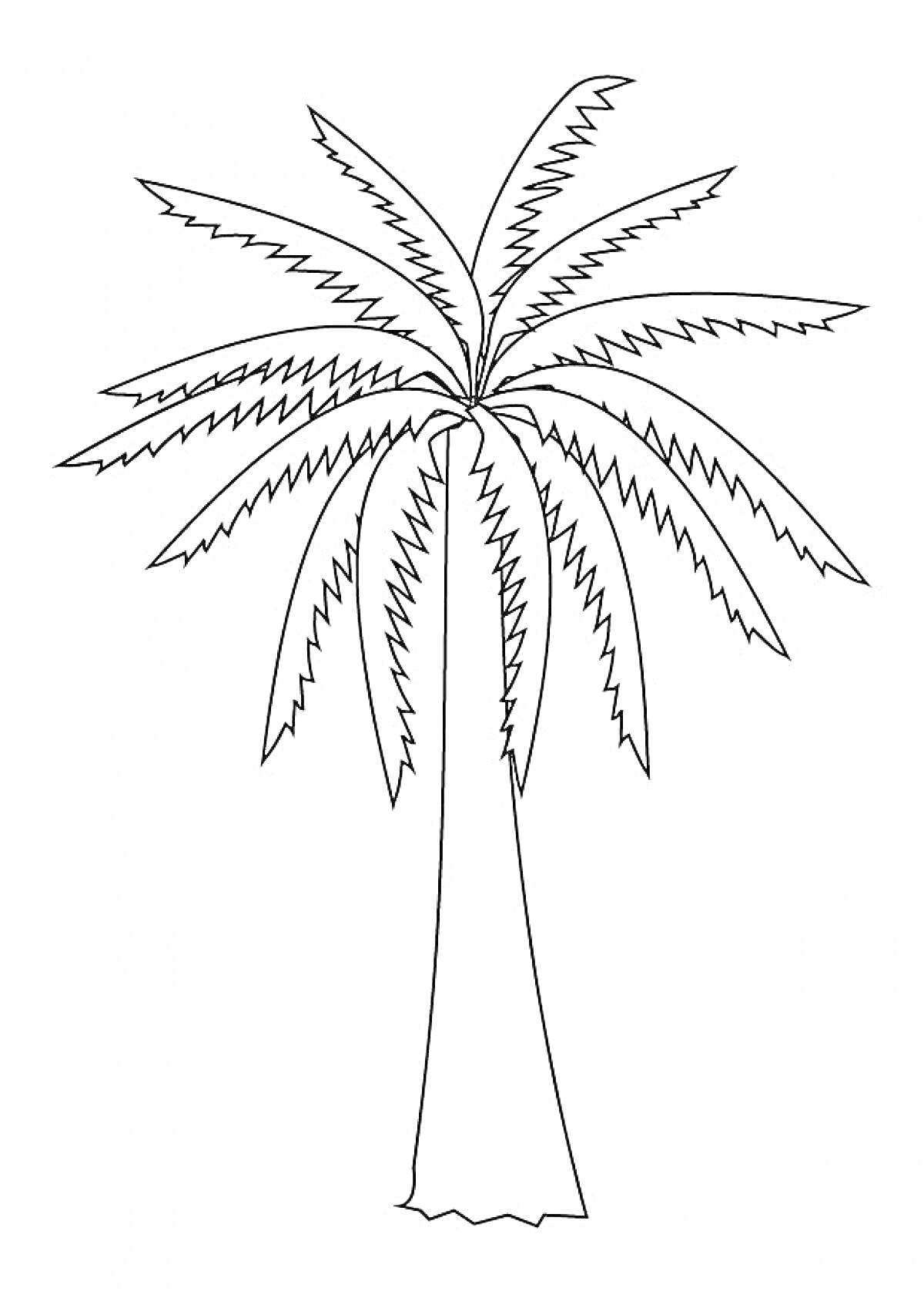 Раскраска с изображением пальмы