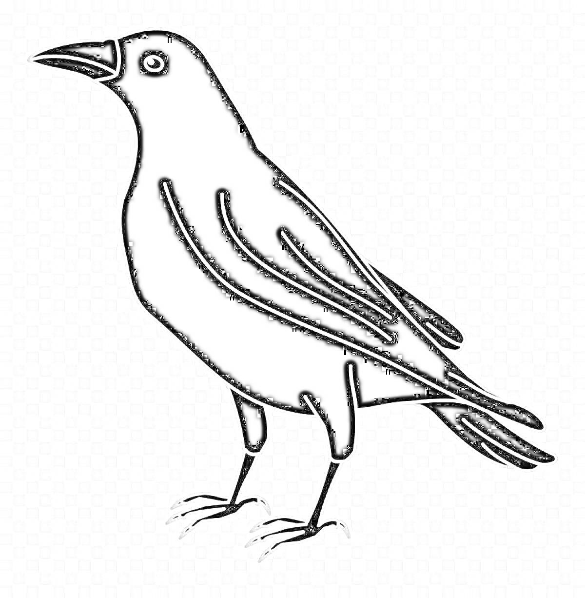 На раскраске изображено: Птица, Клюв, Крылья, Лапы