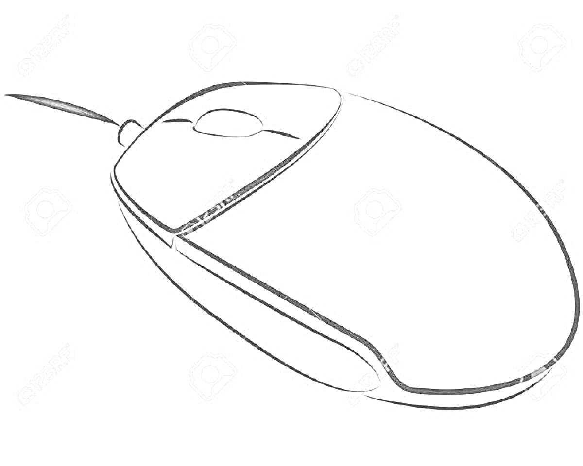 Раскраска компьютерная мышь с проводом и колесиком прокрутки