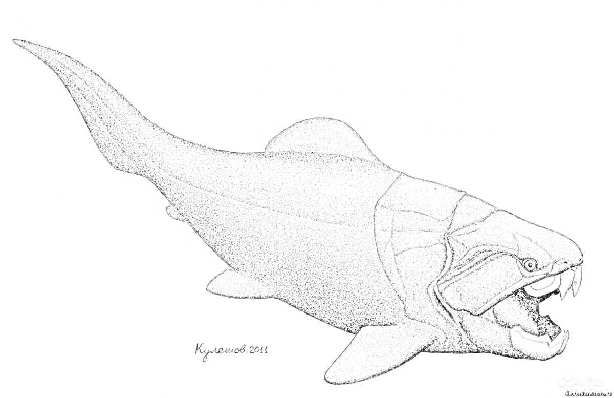 Раскраска Раскраска дунклеостей, морская рыба с массивными челюстями и острыми зубами