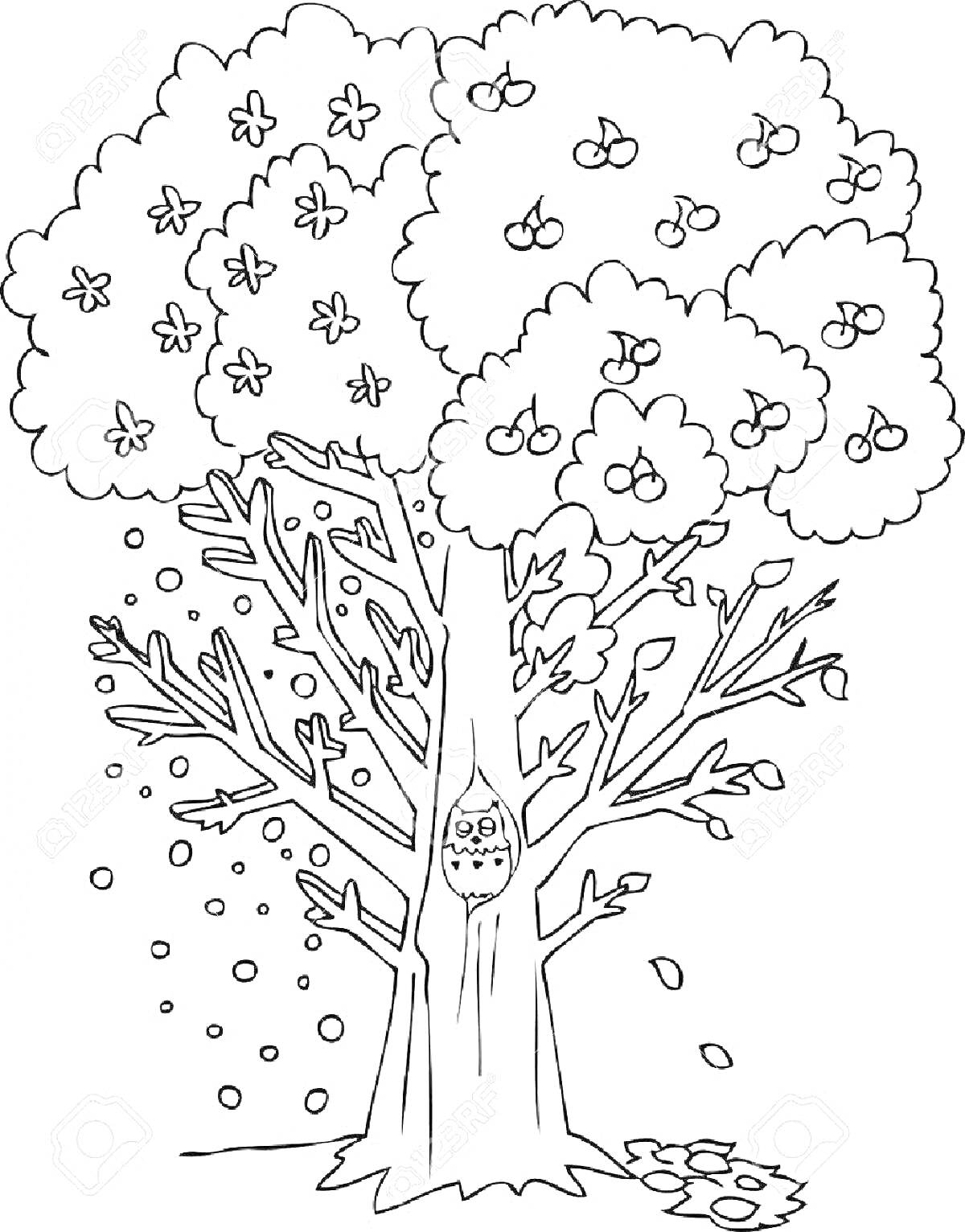 Раскраска дерево с цветами, яблоками, голыми ветвями и совой