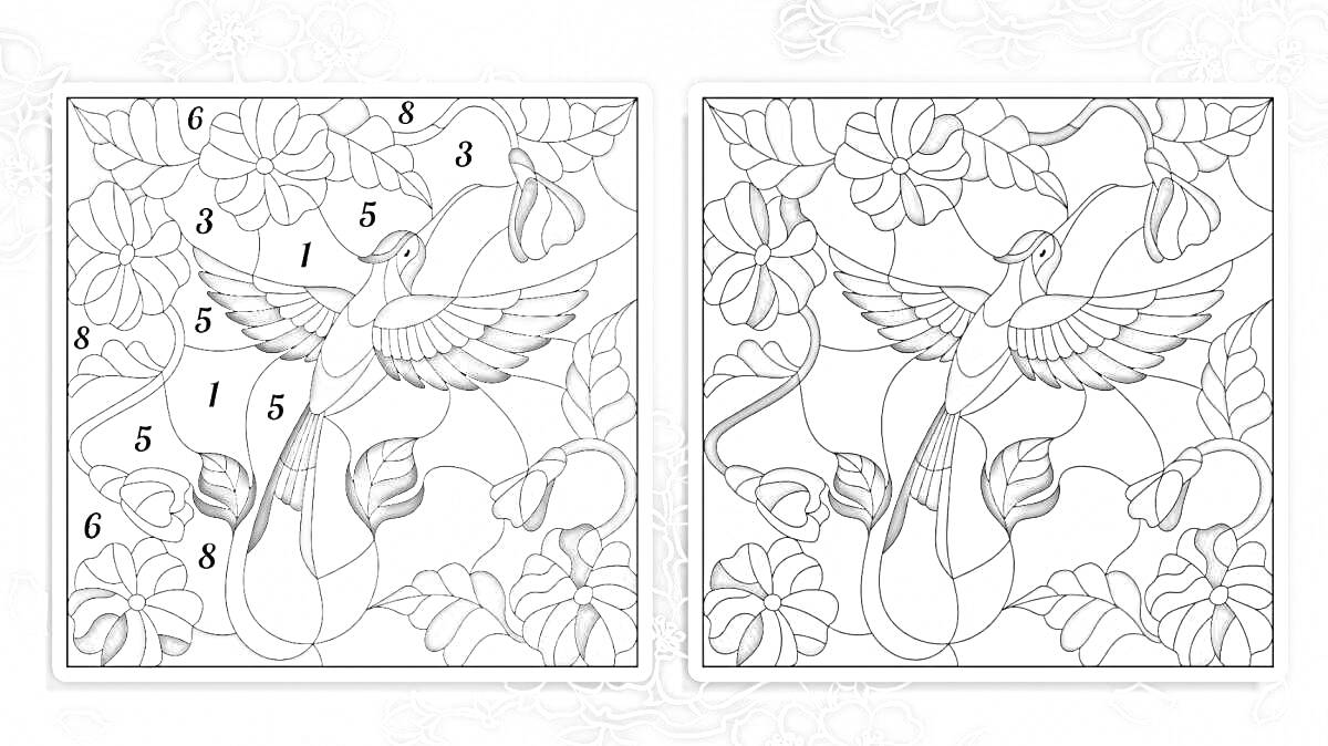 Раскраска Колибри и цветы с раскраской по номерам