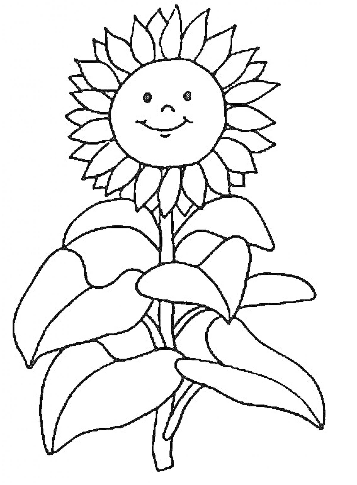 Раскраска Подсолнух с улыбающимся лицом, стеблем и листьями