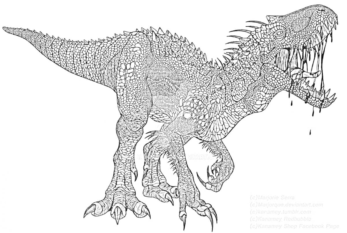 На раскраске изображено: Индораптор, Динозавр, Острые зубы, Пасть, Контурные рисунки, Чешуя