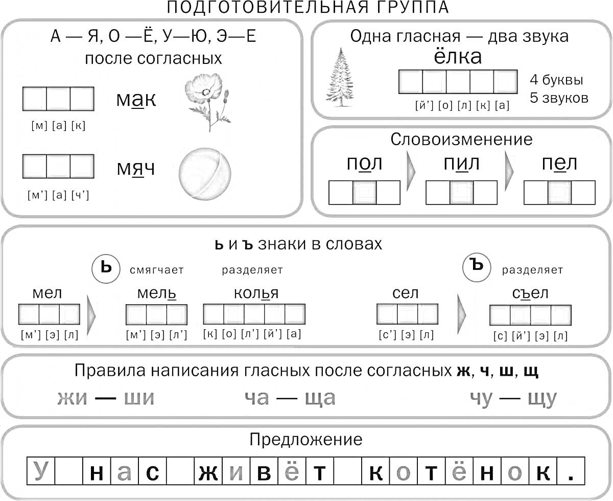 На раскраске изображено: Подготовительная группа, Слова, Предложение, Гласные, Согласные, Твердый знак, Мягкий знак