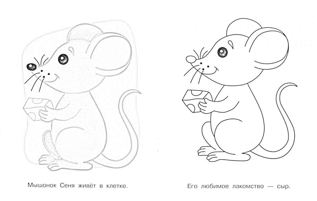 Раскраска Мышонок Сеня держит сыр и сидит в клетке