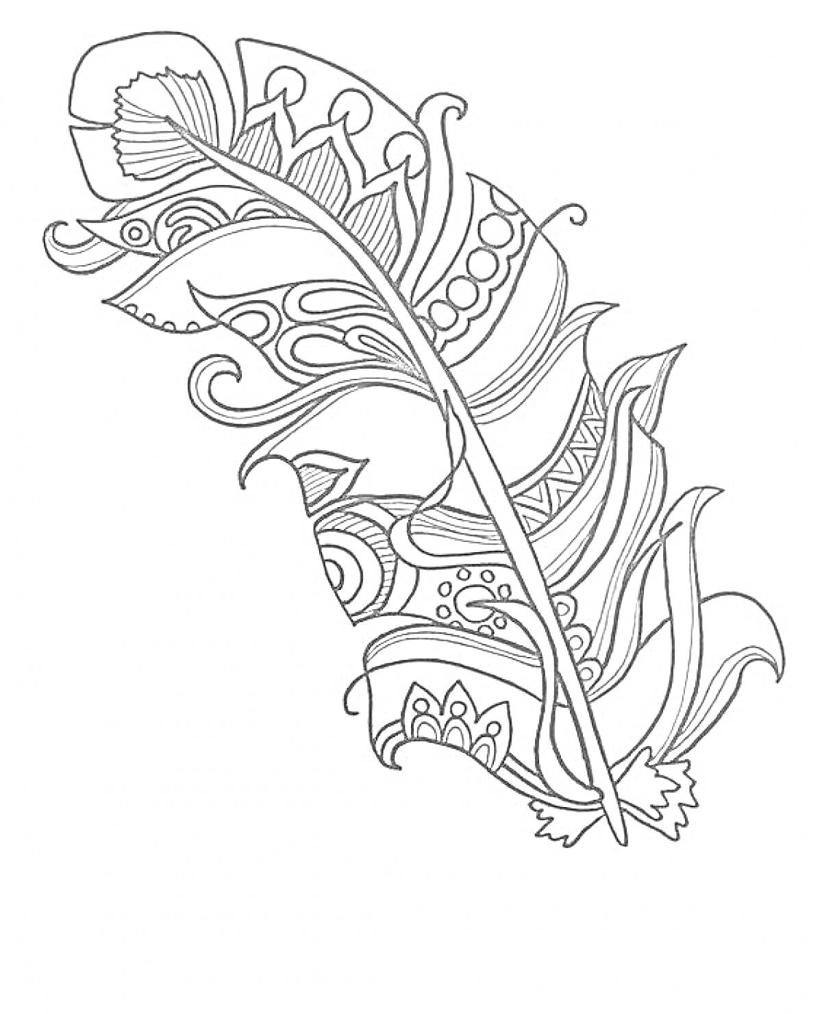Раскраска Декоративное перо с узорами и орнаментами