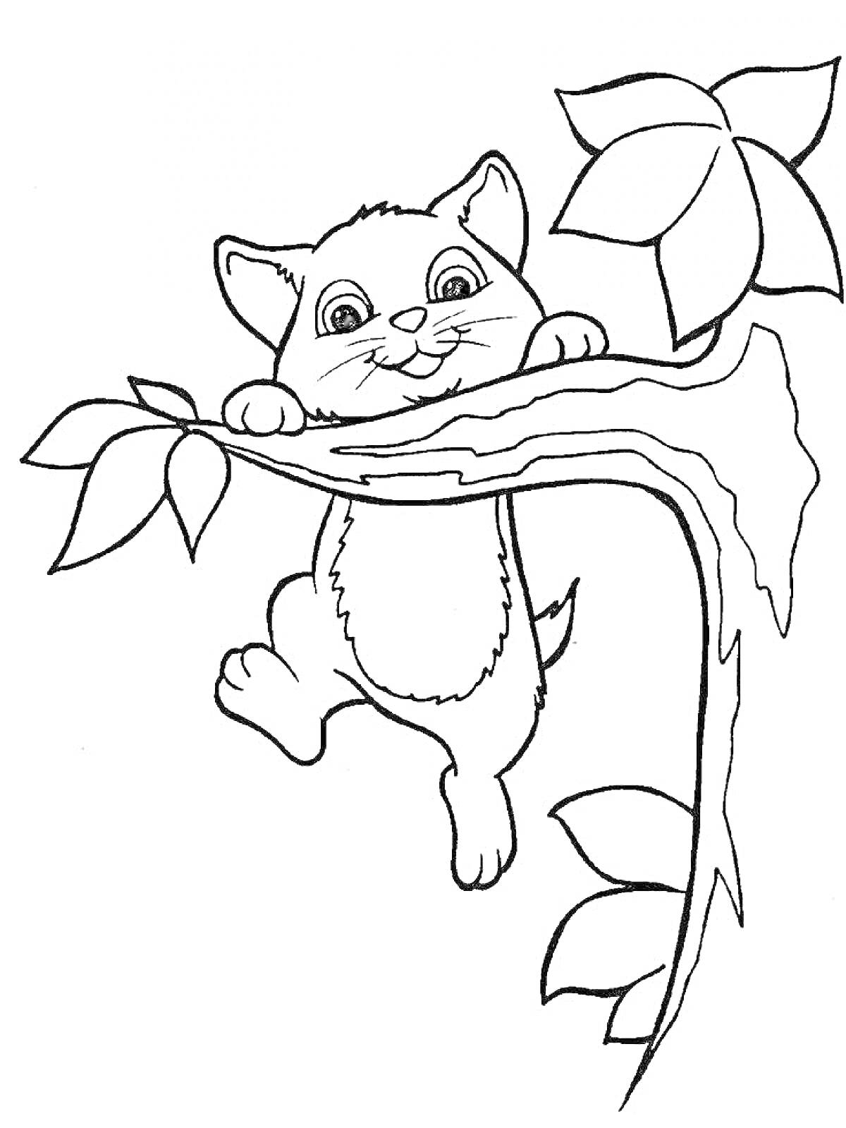 Раскраска Кошечка, забравшаяся на ветку дерева с листьями