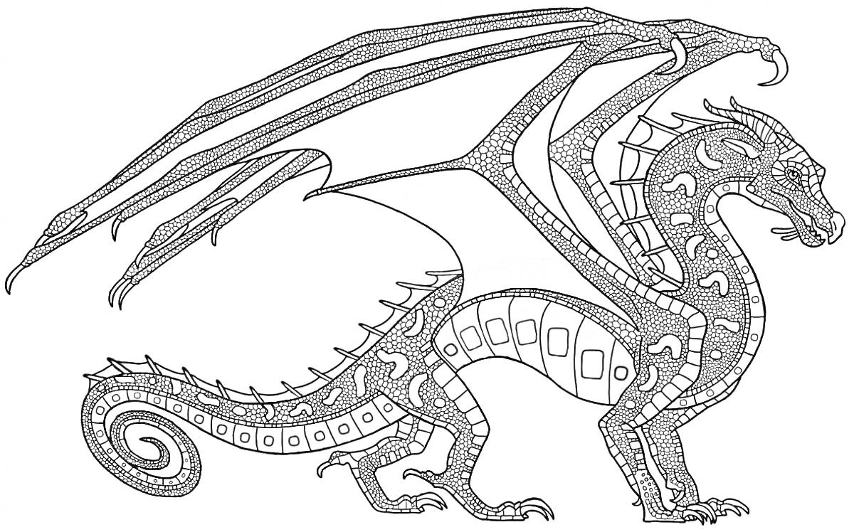 На раскраске изображено: Дракон, Большие крылья, Изогнутый хвост, Фантазийный персонаж