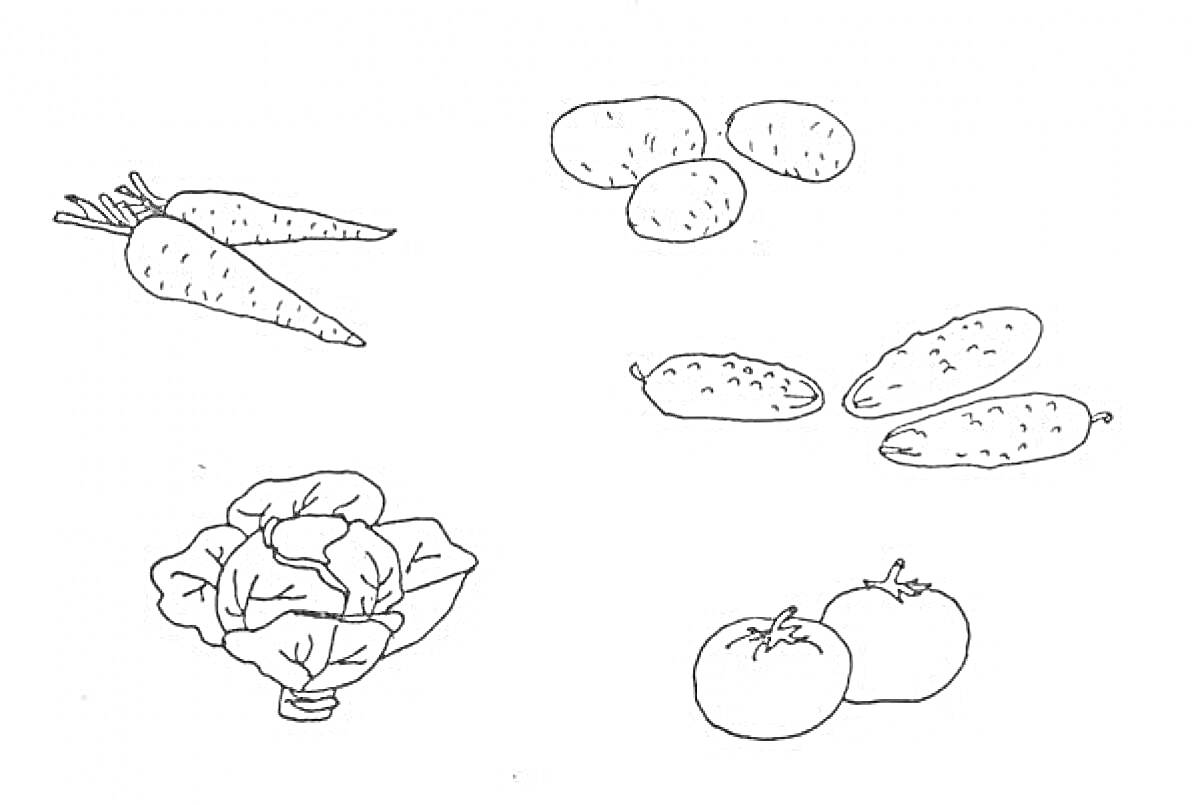 На раскраске изображено: Овощи, Морковь, Картофель, Капуста