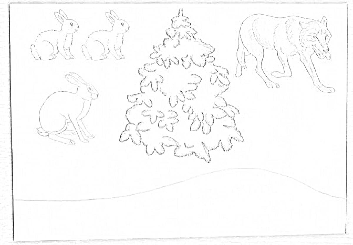 На раскраске изображено: Зима, Январь, Лес, Зайцы, Волк, Снег, Дикая природа, Животные