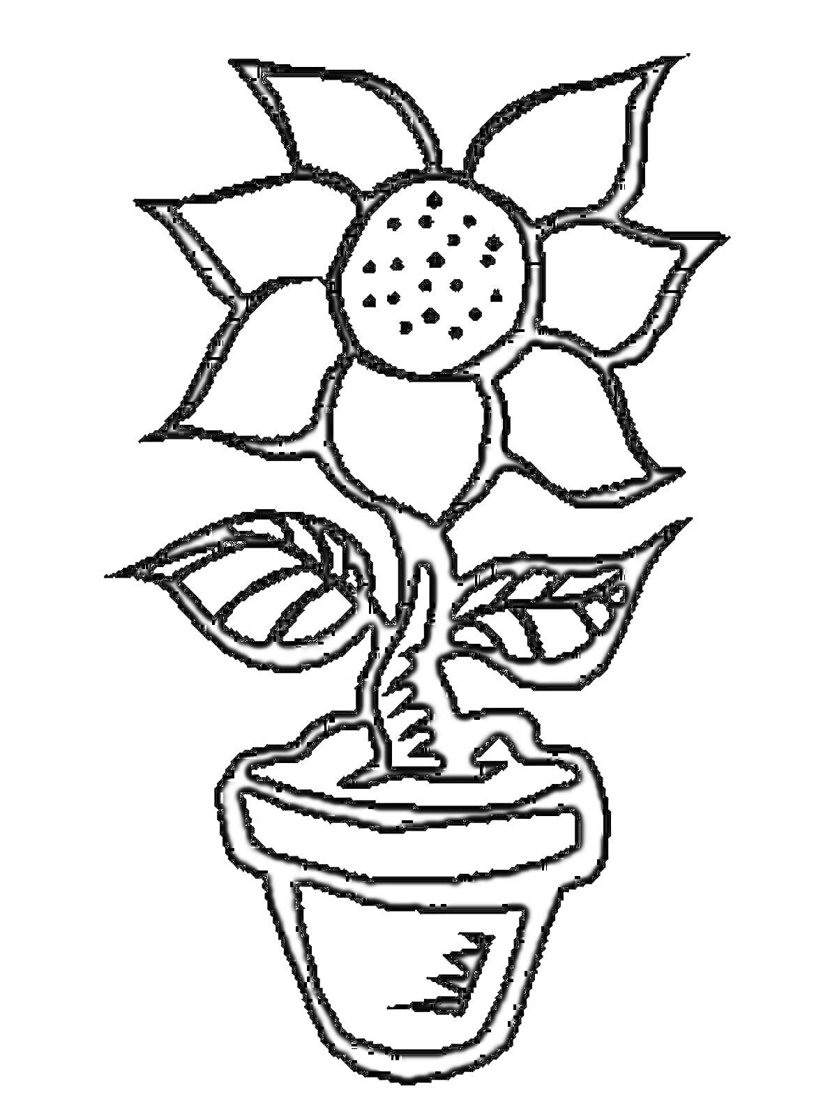 Раскраска Рисунок для раскрашивания с цветком в горшке, изображающий цветок с шестью лепестками, стебель, два листья и цветочный горшок