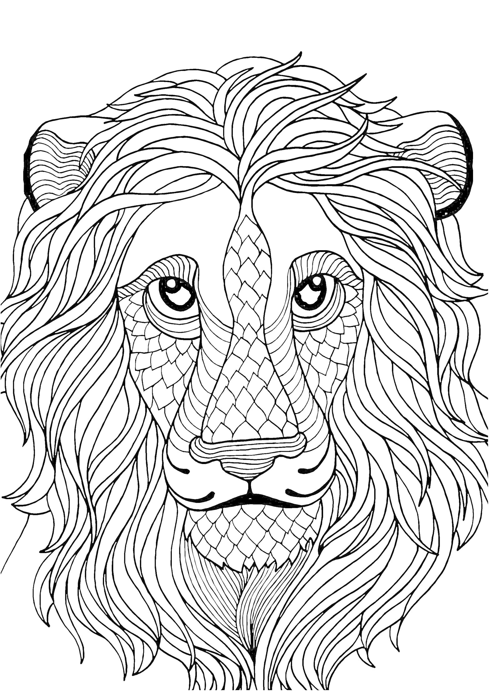 Раскраска Антистресс-раскраска льва с узорными элементами