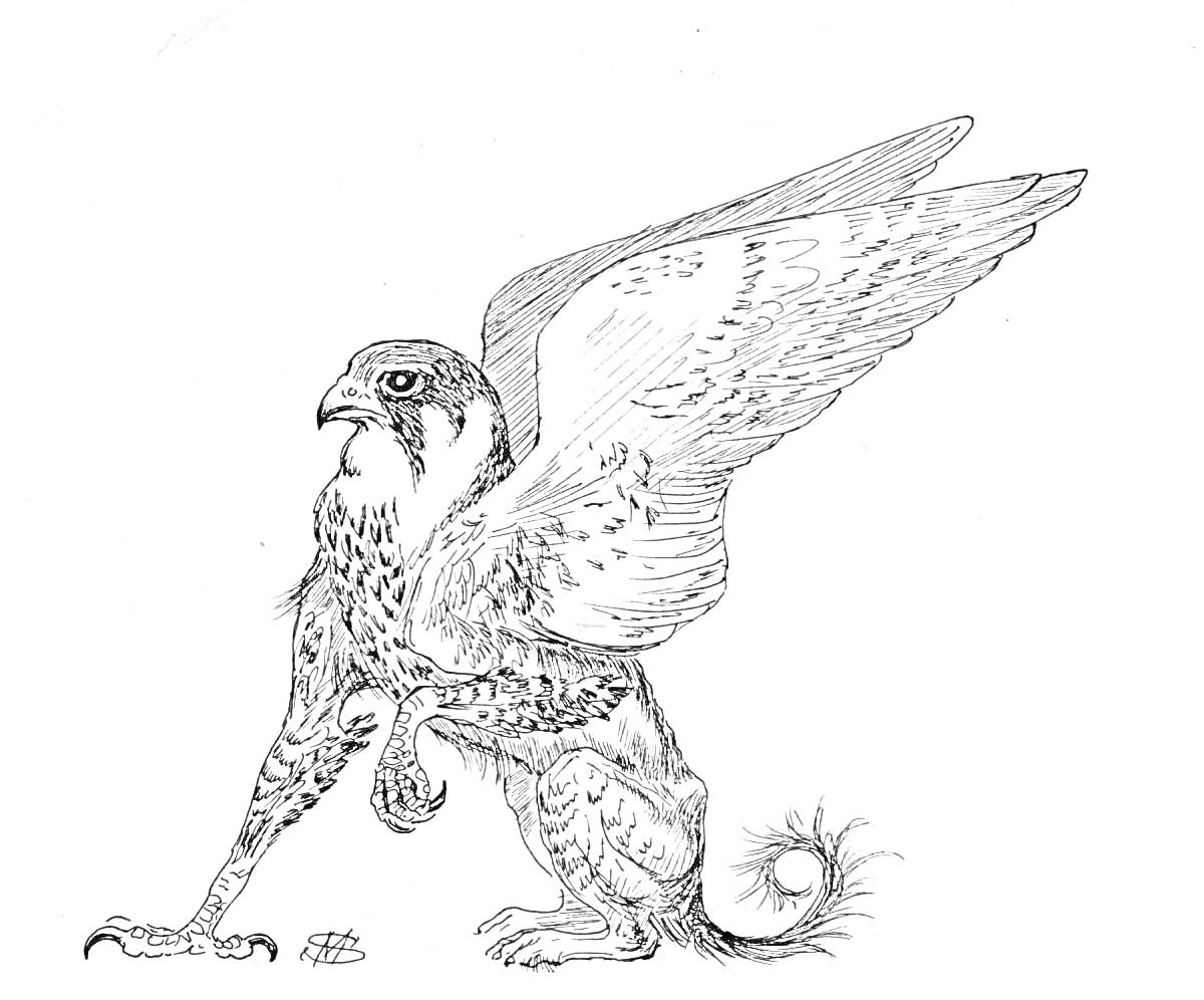 На раскраске изображено: Сокол, Крылья, Птица, Мифические существа