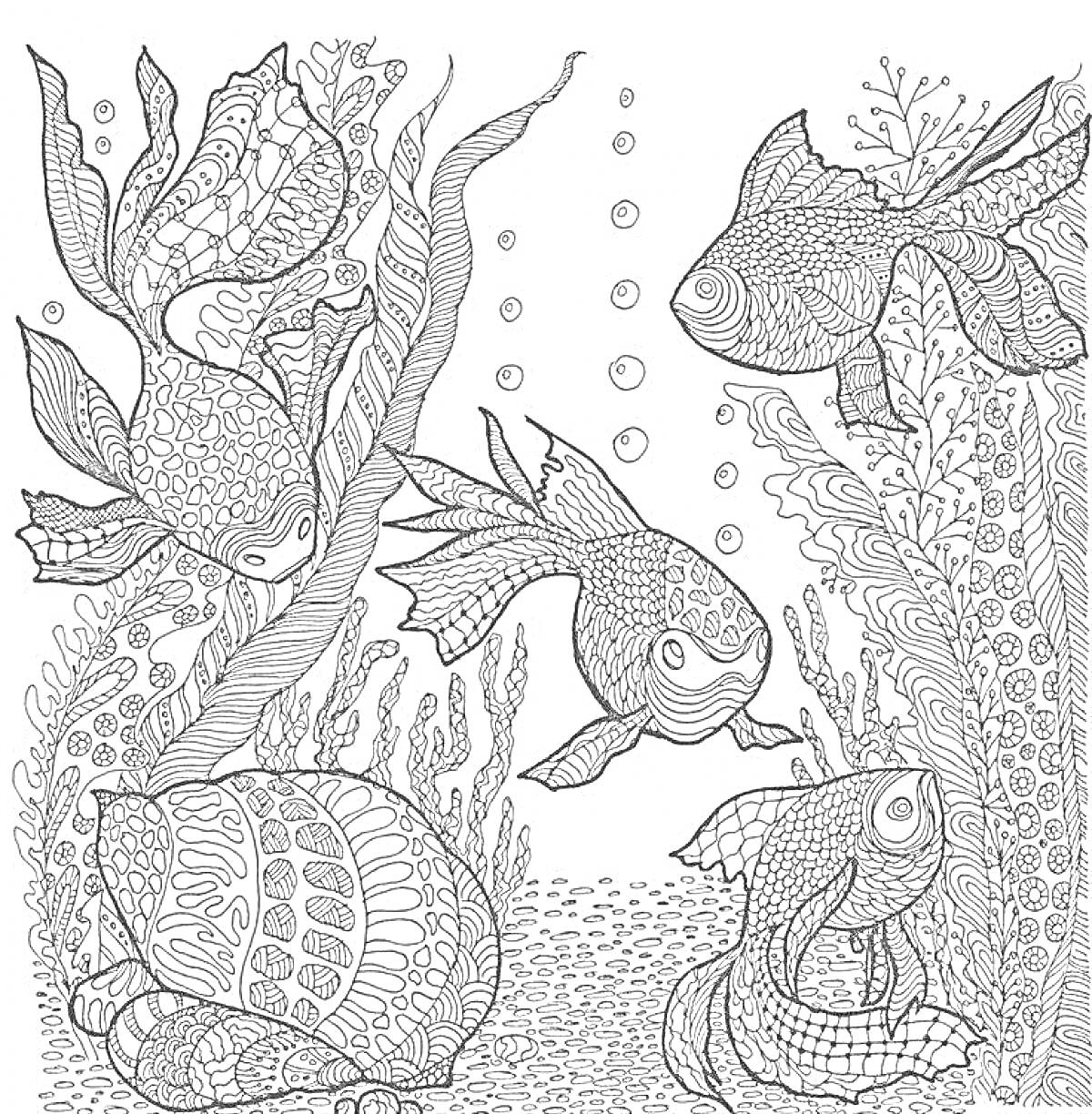 Раскраска Подводный мир с рыбами, ракушками и растительностью