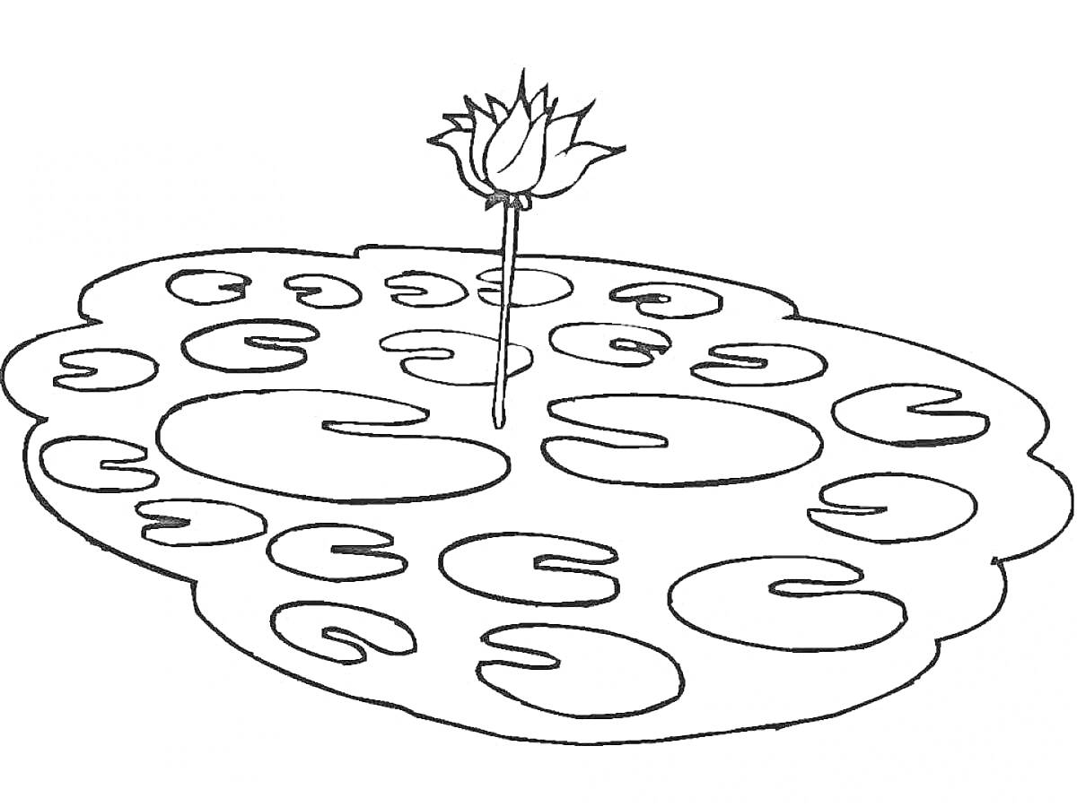 На раскраске изображено: Водоем, Кувшинки, Пруд, Растения, Природа, Вода
