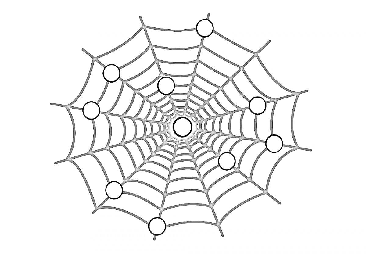 Раскраска Паутина с кругами на пересечениях нитей