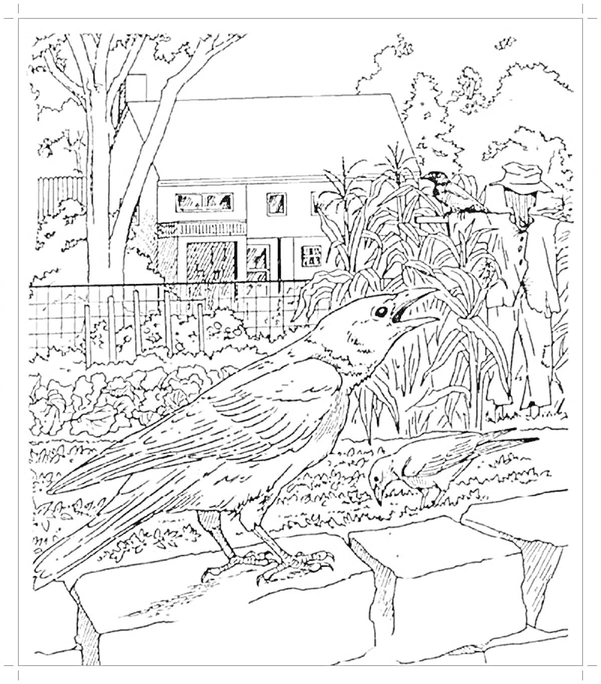 Раскраска Ворона в саду возле дома с людьми, растениями и деревьями