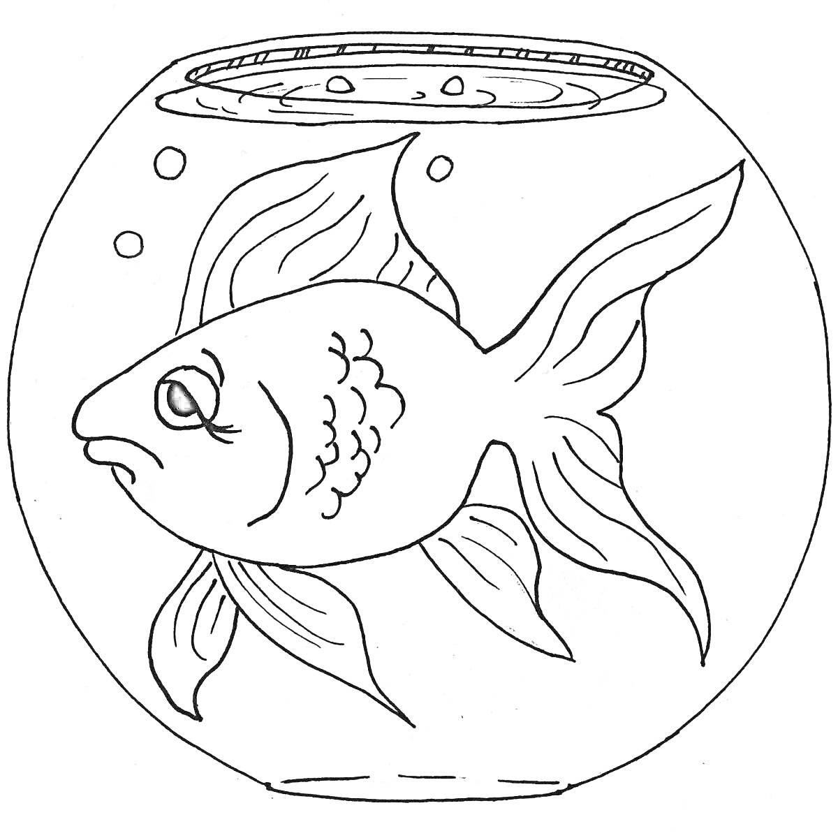 На раскраске изображено: Золотая рыбка, Аквариум, Круглый аквариум, Пузырьки воздуха
