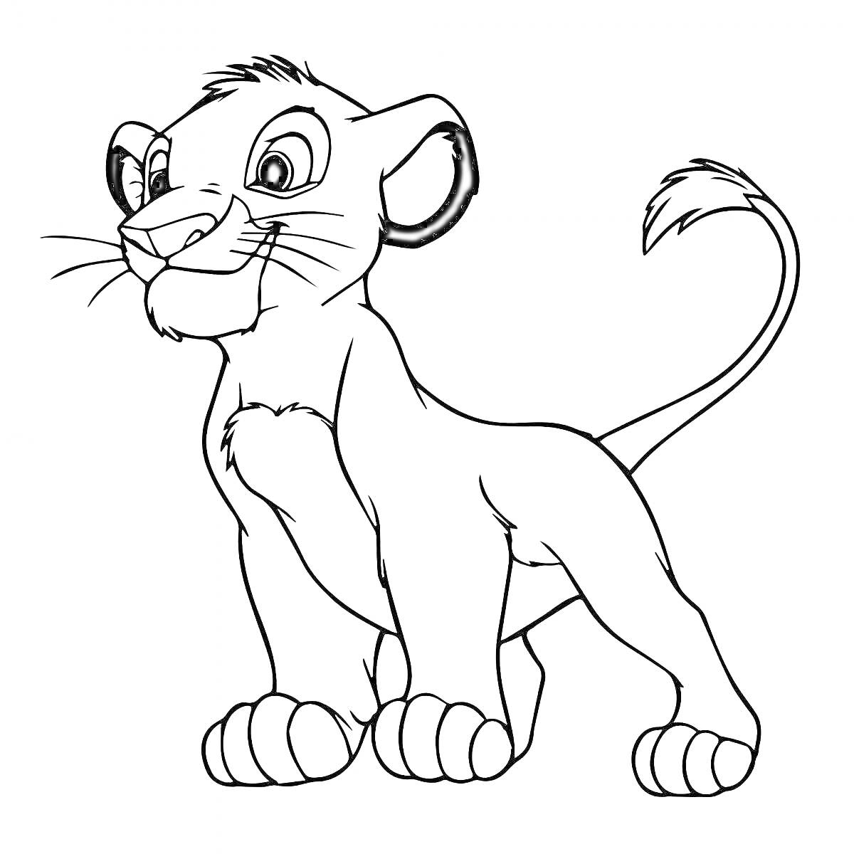 На раскраске изображено: Симба, Король лев, Стоящий лев, Животные