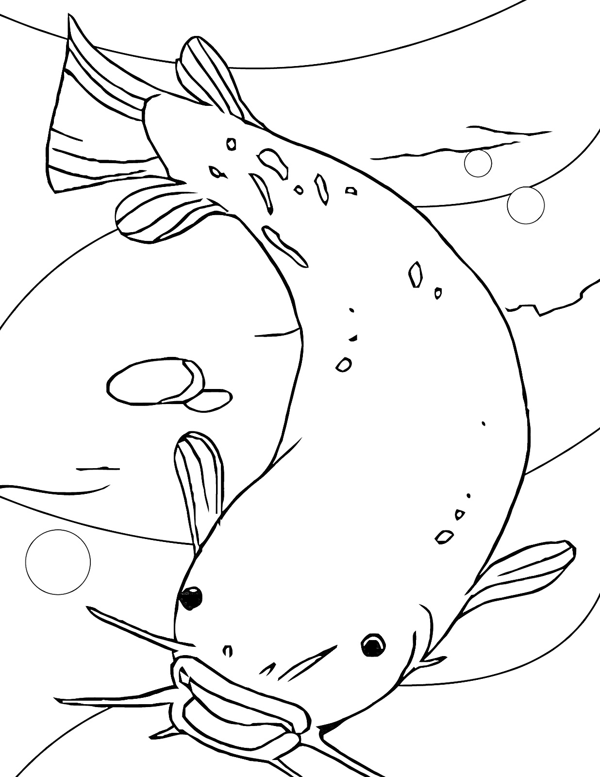 На раскраске изображено: Сом, Водоем, Подводный мир, Водоросли, Природа, Рыба, Животные, Пузыри