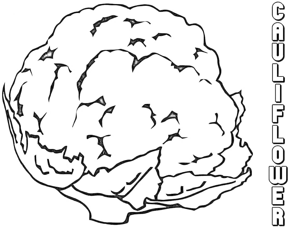 Раскраска цветная капуста с надписью 