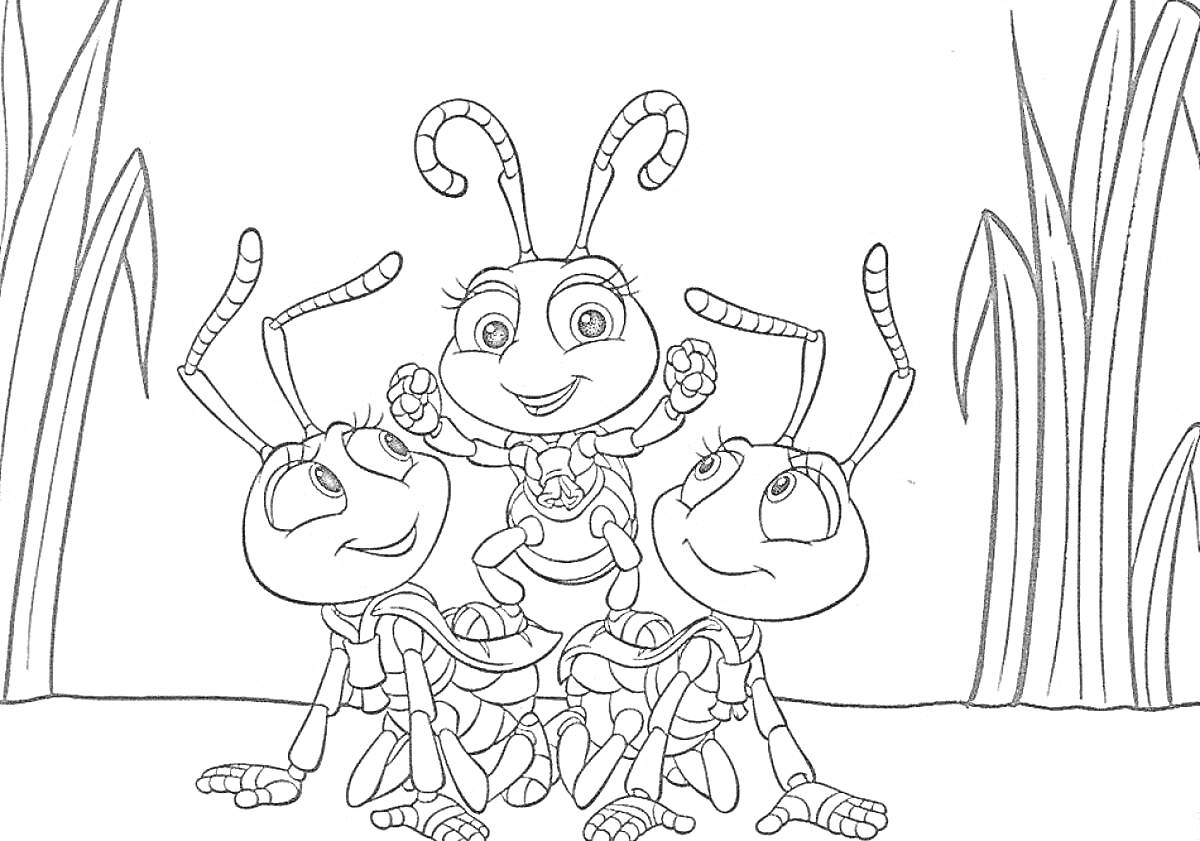 Раскраска Муравьи играют на траве