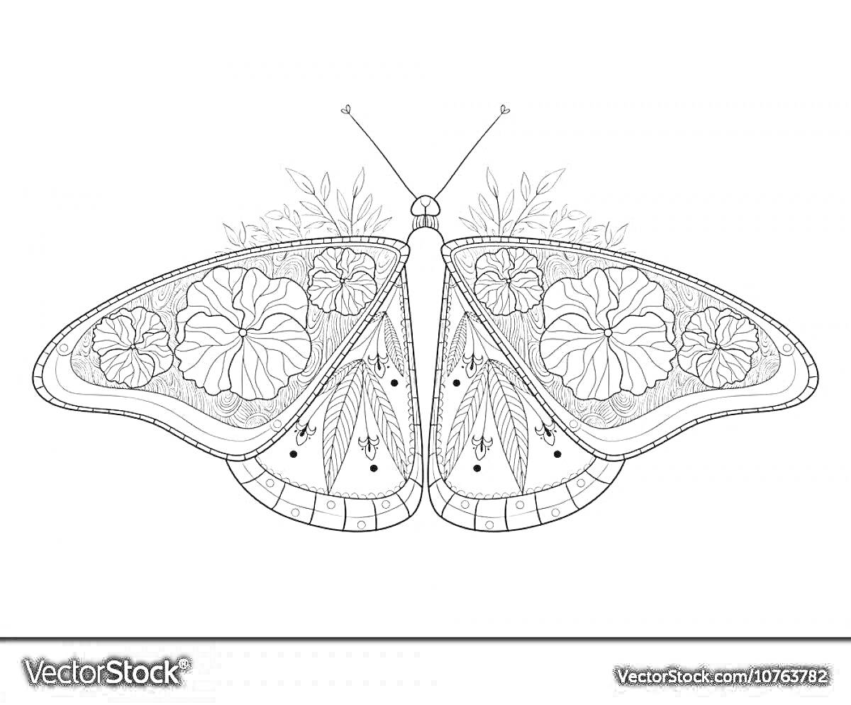 Раскраска Бабочка аполлон с цветами и листьями на крыльях