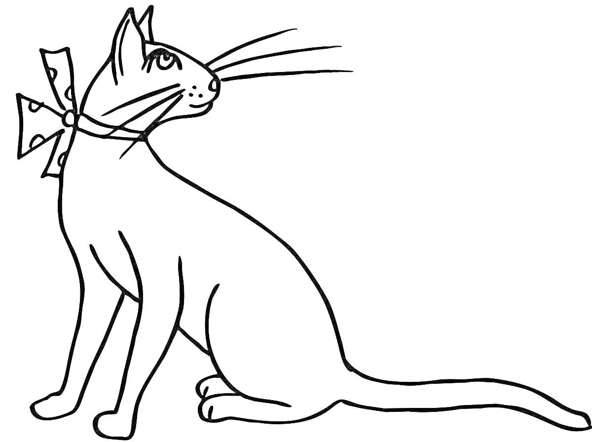 На раскраске изображено: Кот, Усы, Хвост, Сидящий кот, Бант
