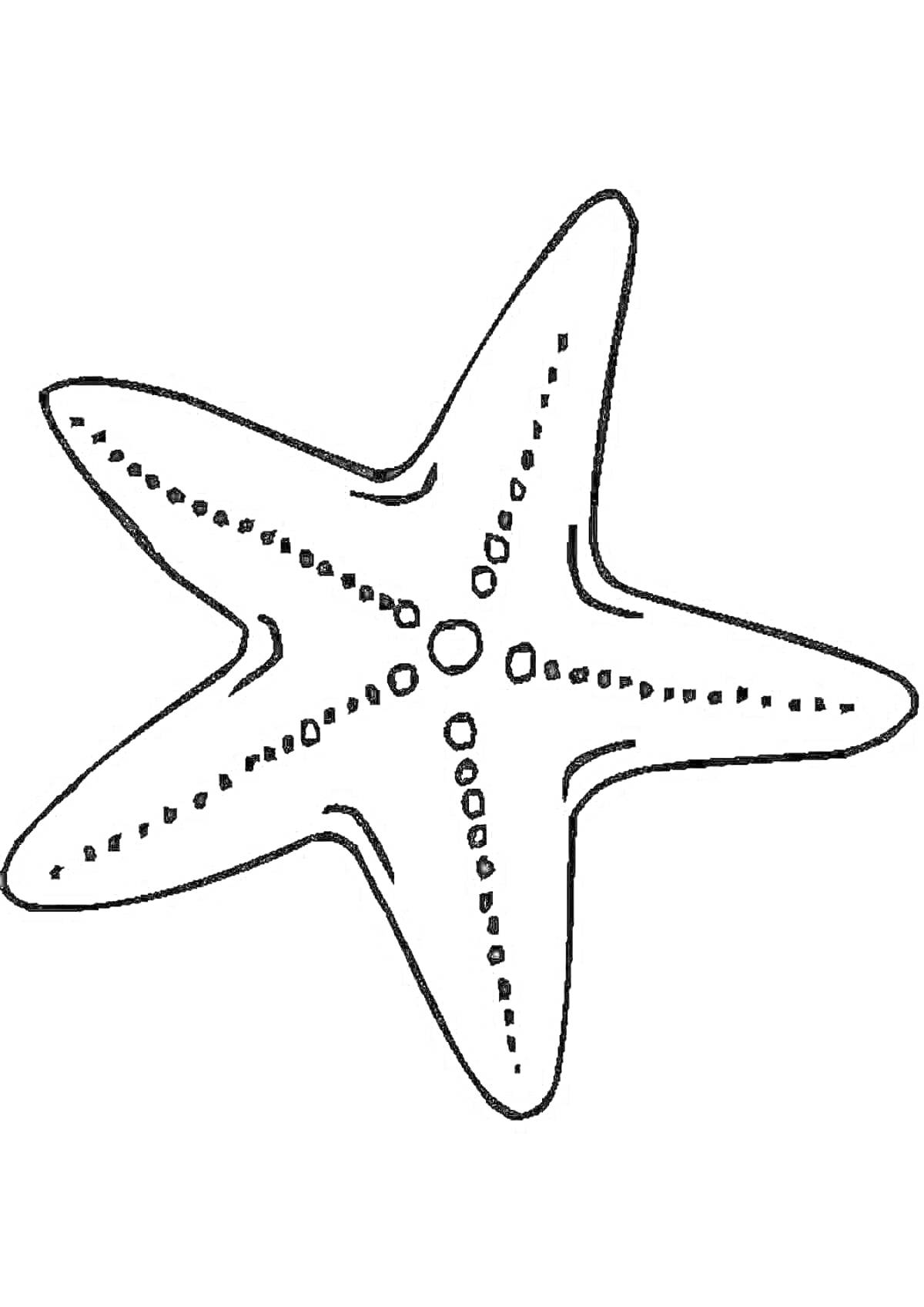 Раскраска Морская звезда с узорами точек