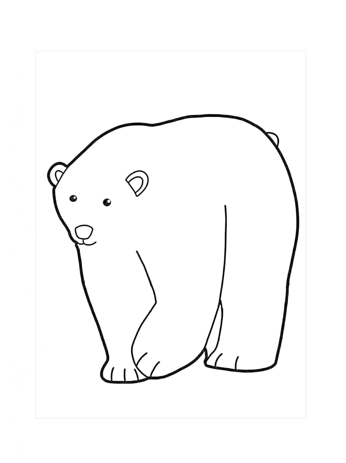 На раскраске изображено: Белый медведь, Для детей, Животные, Медведь, Арктика
